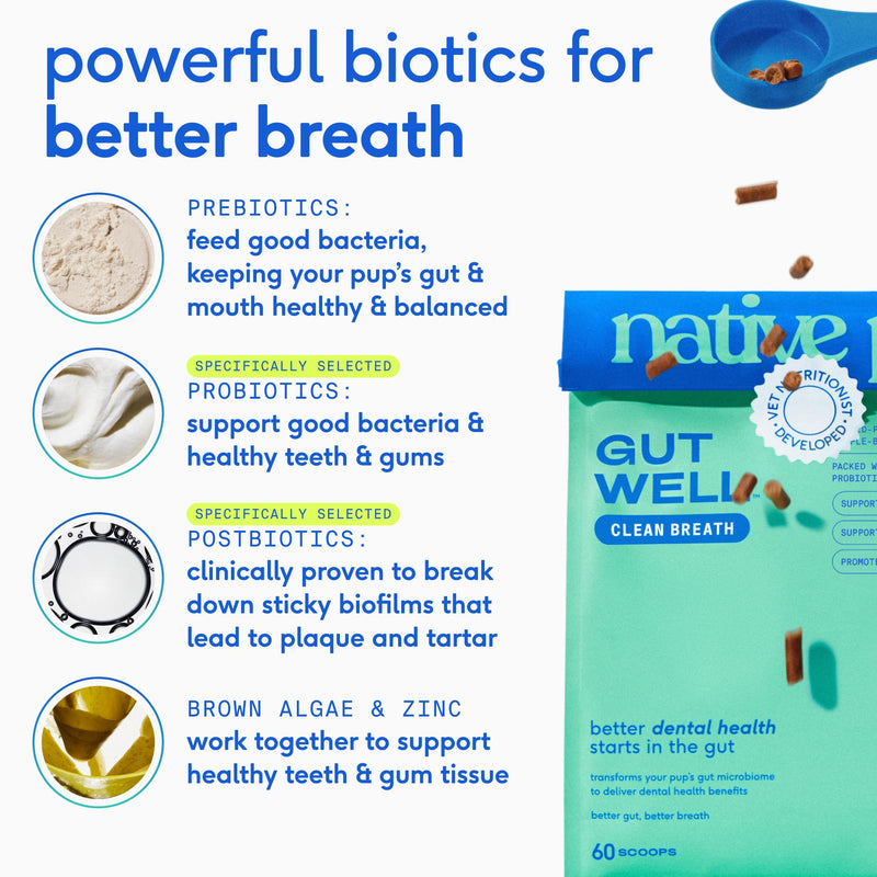 Native Pet Daily Wellness Bundle – 11-in-1 Dog Vitamins and Supplements, Omega 3 Fish Oil for Dogs & Clean Breath Dog Dental Powder – Supports Gut Health, Joints, Skin, Coat, Dental Care, Heart Health