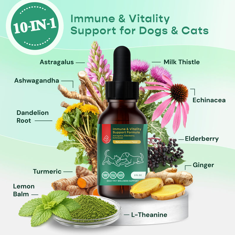 Immune Support for Dogs & Cats – Liquid Pet Supplement with Astragalus, Elderberry, Echinacea & L-Theanine – Dog Immune Drops – Natural Chicken Flavor – 2 fl oz