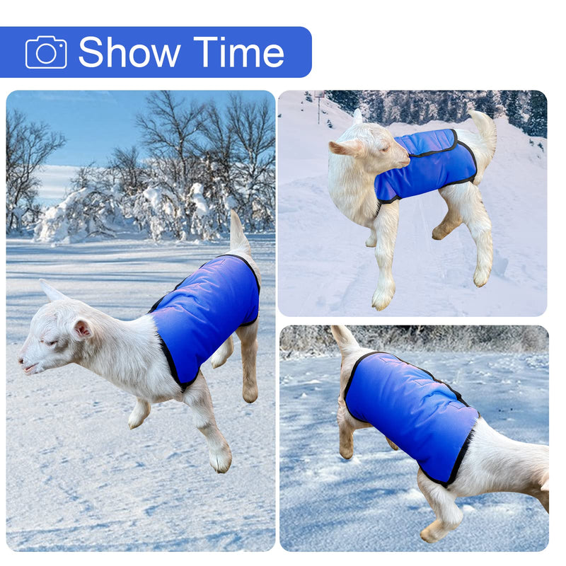 2 Pack Blue Goat Blanket for Winter Goat Coat Cold Weather Waterproof Windproof Goat Jacket Blanket to Keep Goat Warm Lamb Coat with Straps Thickened Belly Protection - BeesActive Australia
