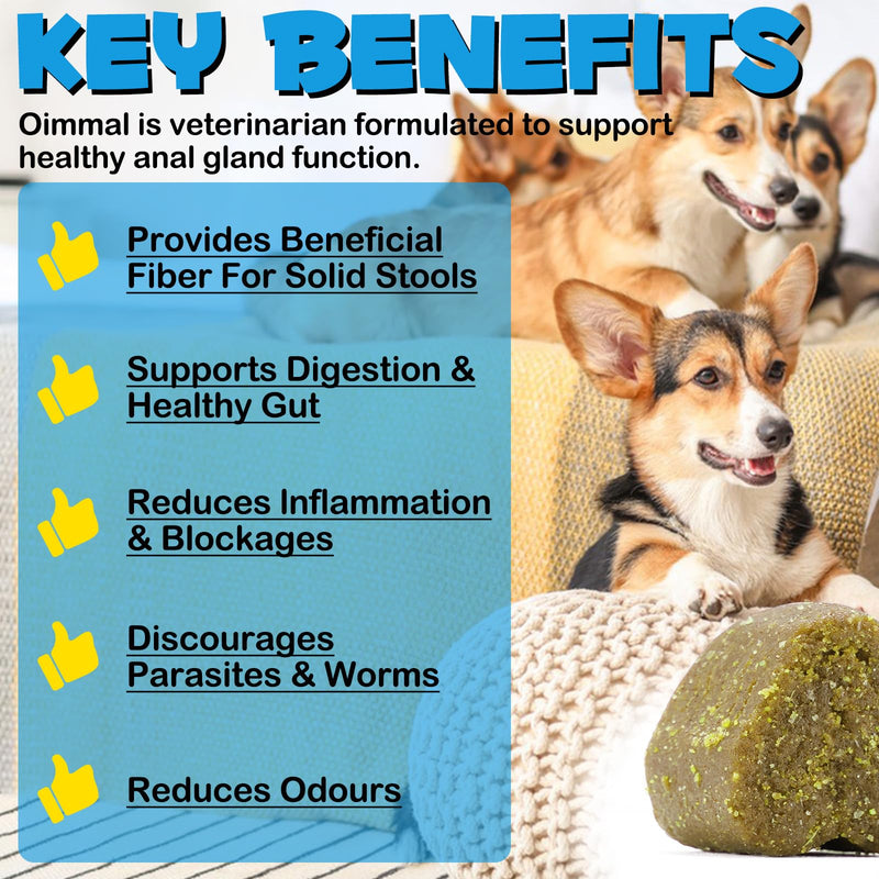 Anal Gland Support for Dogs, 150 PCS Anal Gland Supplement Soft Chews with Pumpkin Puree Fiber, Dog Diarrhea Supports Healthy Anal Gland & Intestinal Function with Digestive Enzymes & Probiotics - BeesActive Australia