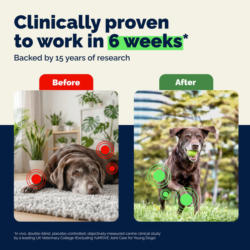 YuMOVE Senior Dog Joint Supplement, Advanced Vet Strength Hip & Joint Supplement for Dogs - Glucosamine, Hyaluronic Acid, Omega 3, Fish Oil & ActivEase Green Lipped Mussels, 120ct Chewable Tablets