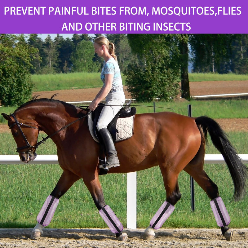 Loose Fitting Horse Leggings Breathable Fine Mesh Leg Guard Anti-Mosquito Fly Boots for Horse Equestrian Equipment Protect Horse Legs Set of 4 (Purple) - BeesActive Australia