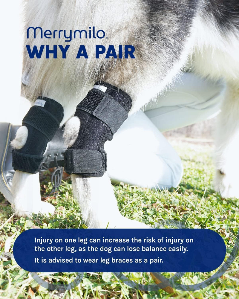 Dog Leg Brace for Rear Hock & Ankle, Canine Hind Leg Joint Compression Wrap for Torn ACL & CCL, Injury and Sprain Protection, Wound Care and Loss of Stability 1 Pair, Size: Large Size: Large(2 Pack) black