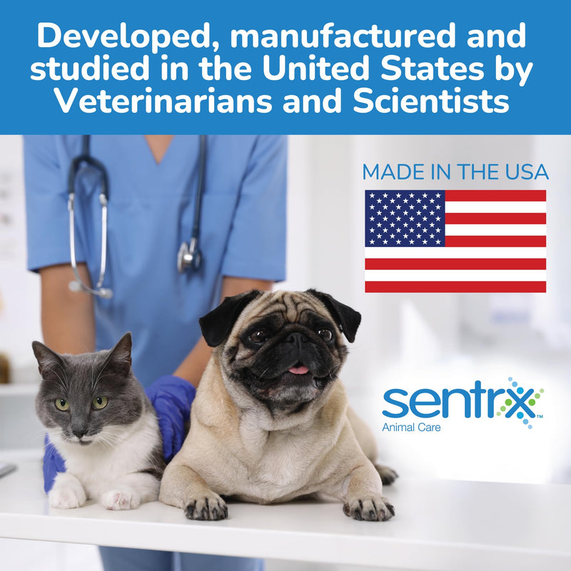 Sentrx Eye Lube Pro, Hyaluronic Acid Drops for Dogs, Cats, Horses, Dry Eye & Redness Relief Ointment, 20g Pack of 1 - BeesActive Australia