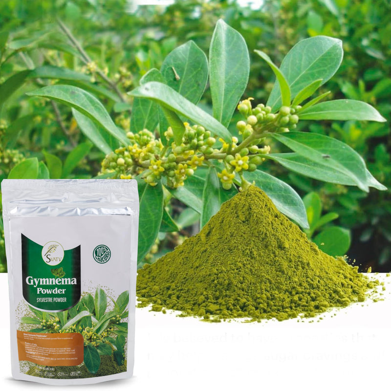 SVATV Gymnema Powder | Gymnema sylvestre | Gurmar Powder | Meshashringi Powder | 227g, Half Pound