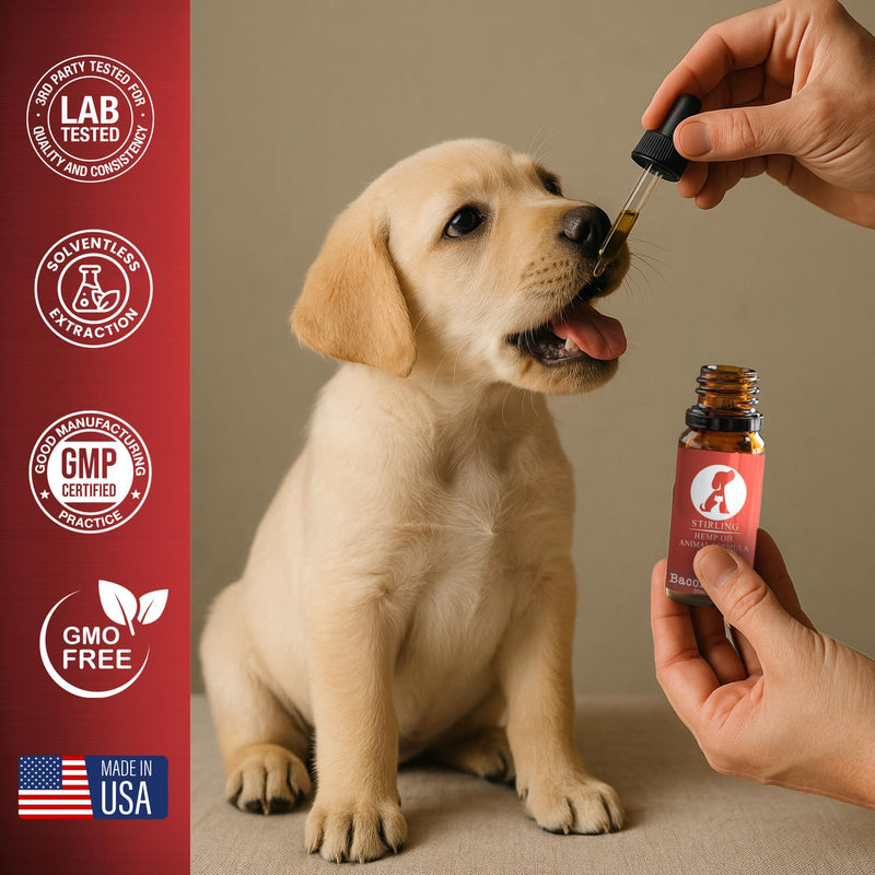 Stirling Powerful Hemp Oil for Dogs and Cats - Helps Relieve Pain and Sore Muscles - Reduces Dog and Cat Separation Anxiety - Calming - Relief - No Drowsiness - 250mg