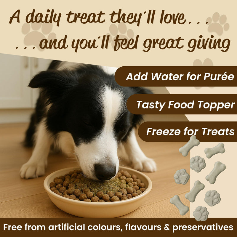Ground Pumpkin Seeds for Dogs & Cats, Natural High Fibre Food Topper for Gut Health, Digestion & Coat, 100% Crushed Seed Powder, Made in UK (300g)