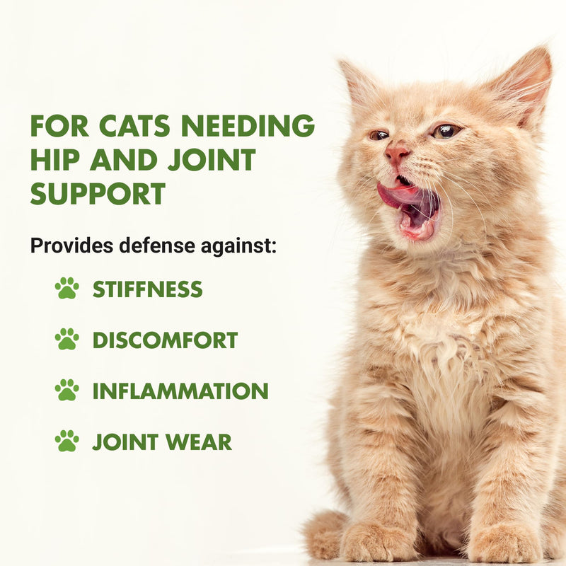 LIQUID-VET Feline Hip & Joint Advanced Formula, Seafood Flavor, 8 oz