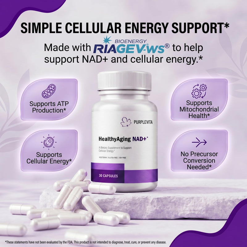 NAD + Plus Supplement Healthy Aging with RiaGev®-WS™, Vitamin C & Niacin, Cellular Energy, Metabolism and Stress Support*, Vegetarian, Gluten-Free & Soy-Free 1 Capsule Daily