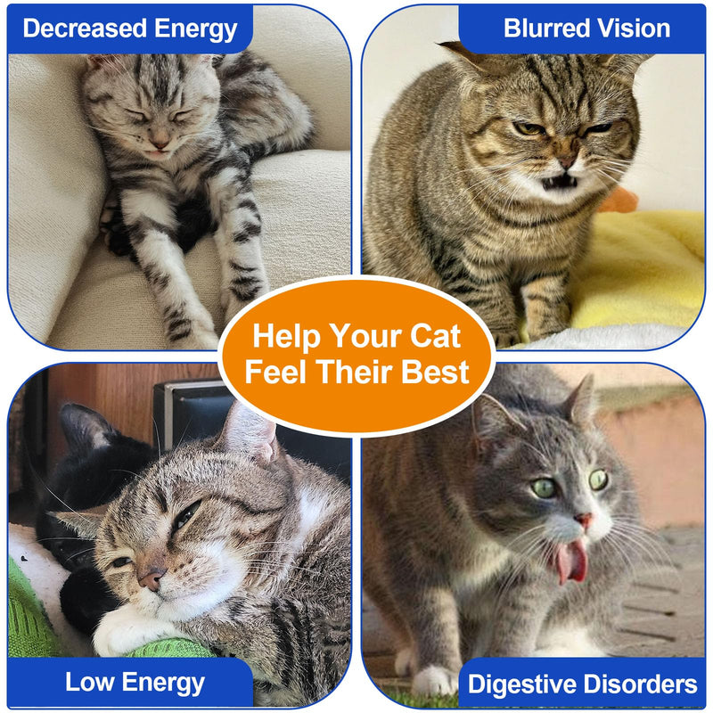 Taurine for Cats, Taurine Powder for Cat Supports Heart, Skin & Coat, Vision & Immune, Cat Taurine Supplement for All Ages & Breeds of Cats - 200g