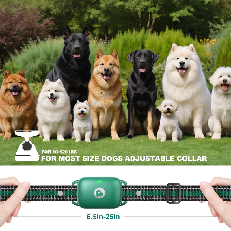 Dog Shock Collar Featuring A Touch Screen, E-Collar with Security Lock and 3 Training Modes, Rechargeable, Waterproof Dog Training Collar for Large Medium Small Dogs, for All Breeds, Size 2x Dogs (Green) - BeesActive Australia