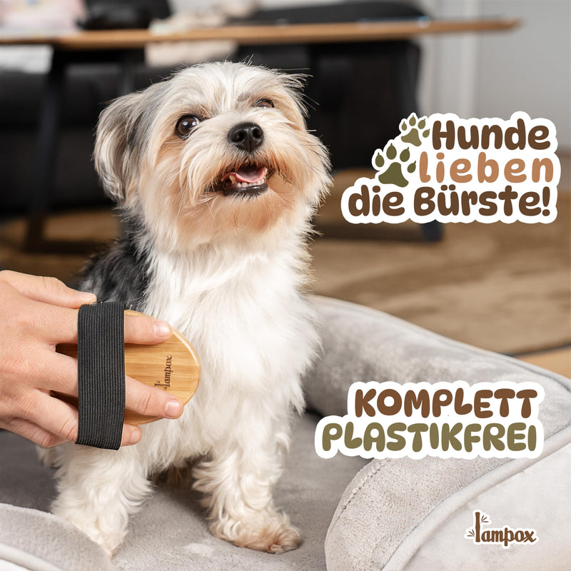 Fur brush, dog brush, animal brush, dog hair brush, premium brush for dogs and cats for gentle grooming, curry comb for dogs and cats, dog comb with massage effect, pet brush - BeesActive Australia