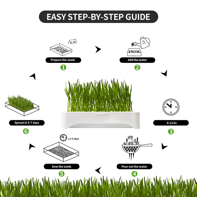 The Environet Cat Grass for Indoor Cats, Cat Grass Kit with Organic Seeds Mix and Hydroponic Sprout Tray, 100% Non-GMO, Hairball Control, Digestion Support, Ideal Gift for Cat Lovers