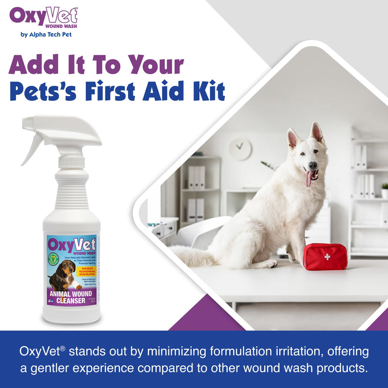 OxyVet Wound Wash for Dogs | Excellent Cleansing Agent | Non-Irritating to Skin and Eyes | Wound Cleanser | Non-Staining Wound and Skin Care | 16 Fl Oz Pet First Aid Spray Bottle - BeesActive Australia