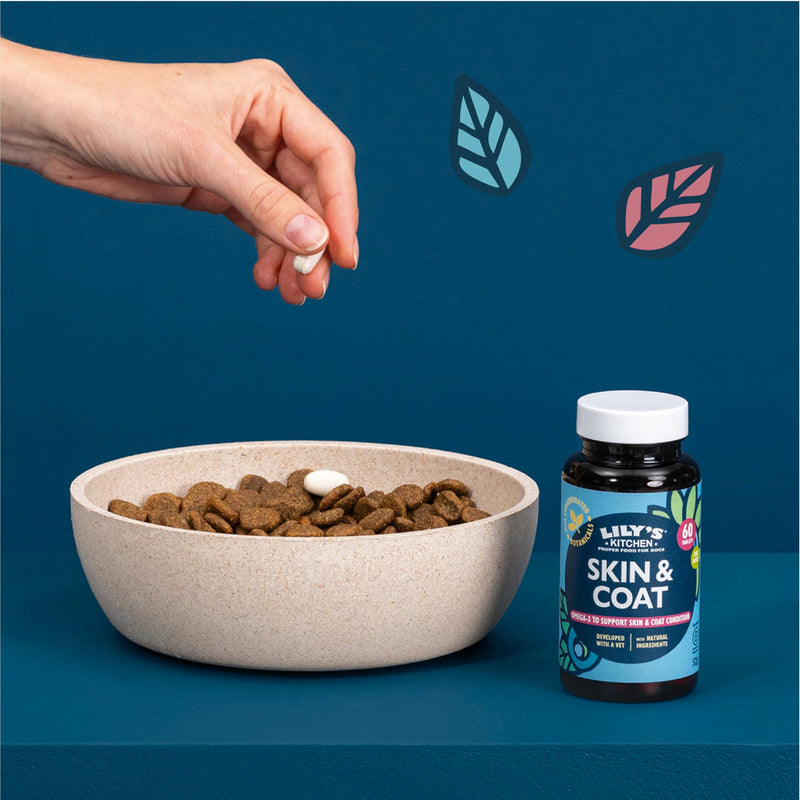 Lily’s Kitchen Skin & Coat Supplements for adult dogs & senior dogs. 60 Tablets. Made with Natural Ingredients, Hyaluronic acid, Biotin & Vitamin C and Fish oil powder One Size