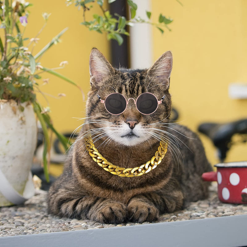 Molain Cat Sunglasses Gold Chain Costume Decorations UV Protection Classic Retro Puppy Retro Sunglasses Faux Photo Props 1 Black Sunglasses+1 Gold Chain - BeesActive Australia