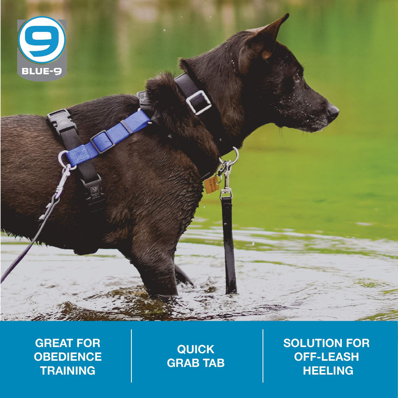 Blue-9 Dog Training Leash, 9 Inch Tab Lead for Obedience, Recall, and Agility Training, Made in The USA, Black - BeesActive Australia