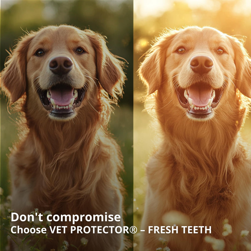 Mauhlöhle Fresh Teeth 100 ml, Professional Dental Care Spray, Dogs & Cats, Tartar Remover, Tooth Cleaning, Against Bad Breath Odour, Effective Dental Care, Dog Tartar Spray