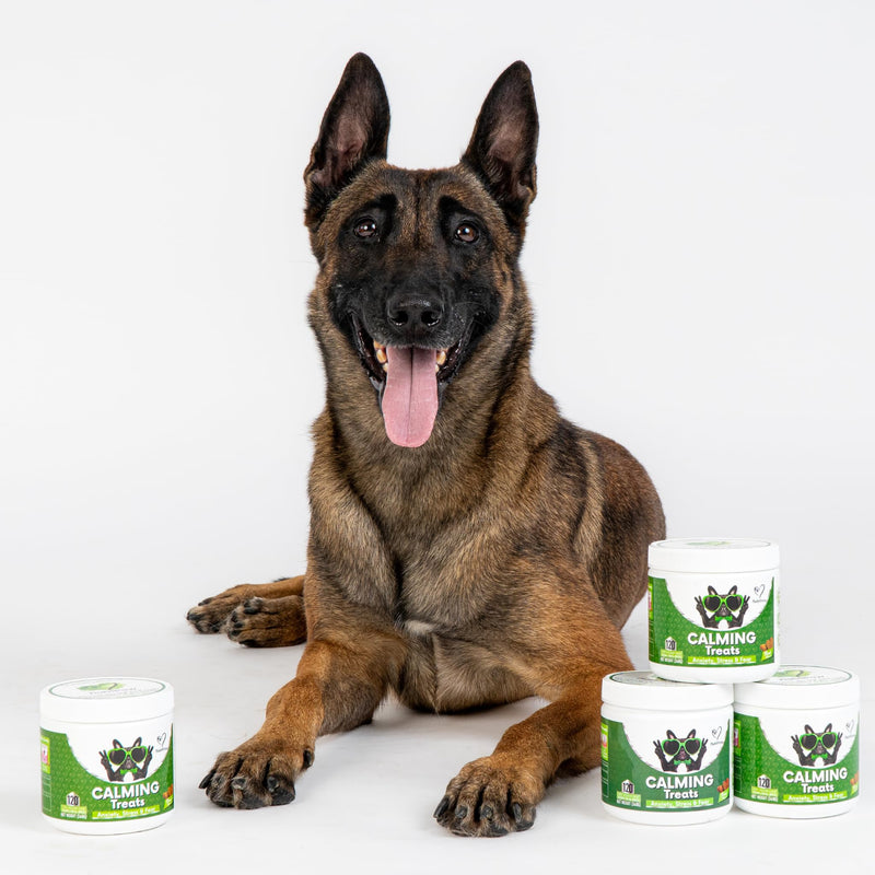 NutriPaw Calming Treats For Dogs - Reduce Stress, Fear, Separation, Barking, Hyperactivity, Reactivity, Aggression, Travel - Calm without Drowsiness dogs Single Pack