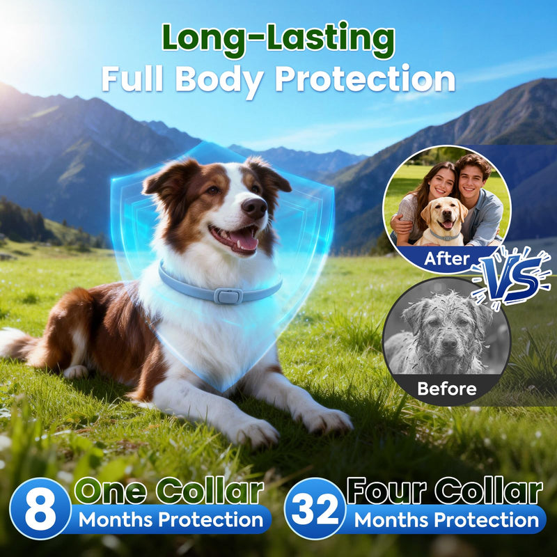 KOOSA Flea and Tick Collar for Dogs, 2 Packs Flea Collar for Dogs with Natural Essential Oils, Waterproof & Adjustable Flea and Tick Prevention Collar for Small Medium Large Dogs & Puppies, Grey 06