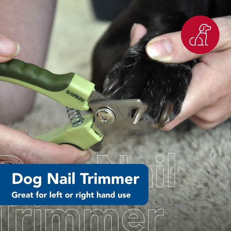 Coastal Pet Safari Professional Dog Nail Trimmer - Dog Nail Clippers for Grooming - Dog Claw Care for Small & Large Dogs - Nail Trimmer - Pet Supplies for Dog Grooming - Standard, 5" x 1.5" - BeesActive Australia