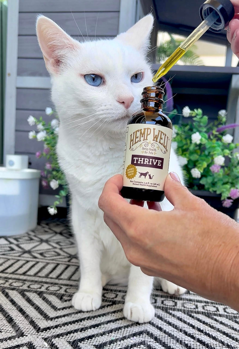 Hemp Well Thrive Oil for Dogs & Cats, Organic Hemp Oil, Omega 3 & 6 Supplement for Skin & Coat, Hip & Joint, Heart & Immune Support, 2 oz 2 Ounce