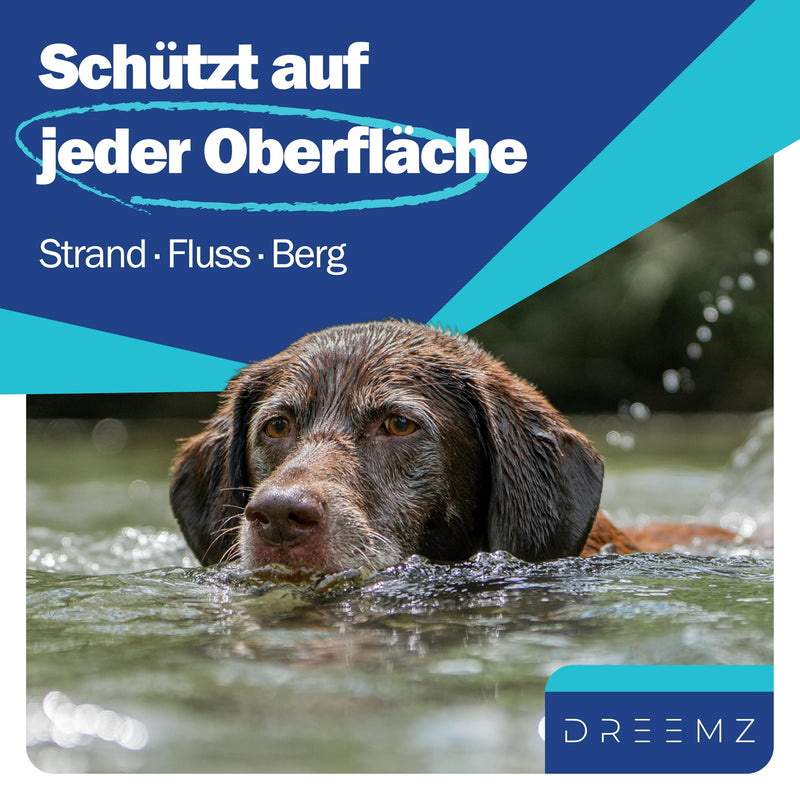 DREEMZ ® tick collar for dogs - flea collar dog flea protection collar for dogs - tick collar - 100% natural - protective collar against fleas - 8 months protection - 63cm adjustable (2 units) 2 units - BeesActive Australia