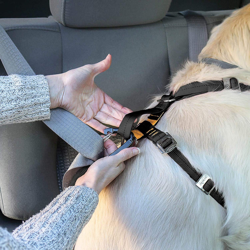 Kurgo Tru-Fit Enhanced Strength Dog Harness - Crash Tested Car Safety Harness for Dogs, No Pull Dog Harness, Includes Pet Safety Seat Belt (Black, Large) Black Large (Pack of 1) - BeesActive Australia