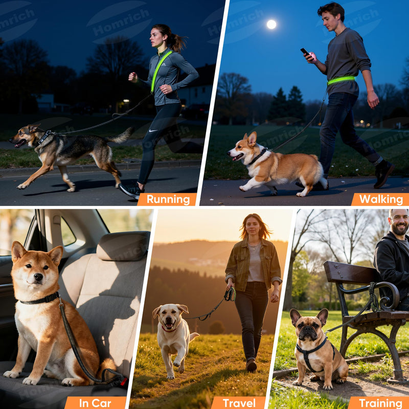 Hands-Free Dog Leash - LED Light Up Rechargeable & Jogging with Car Seat Belt for Small to Large Dogs - Adjustable Crossbody/Waist Dog Leash for Night Walking Running, Training, Hiking (2.6 m) - BeesActive Australia