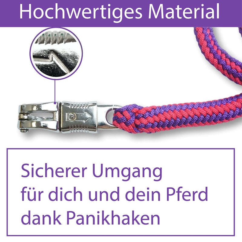 Lead rope horse tether rope for horses with sturdy panic hook length 2m many colors (red-purple) red-purple - BeesActive Australia