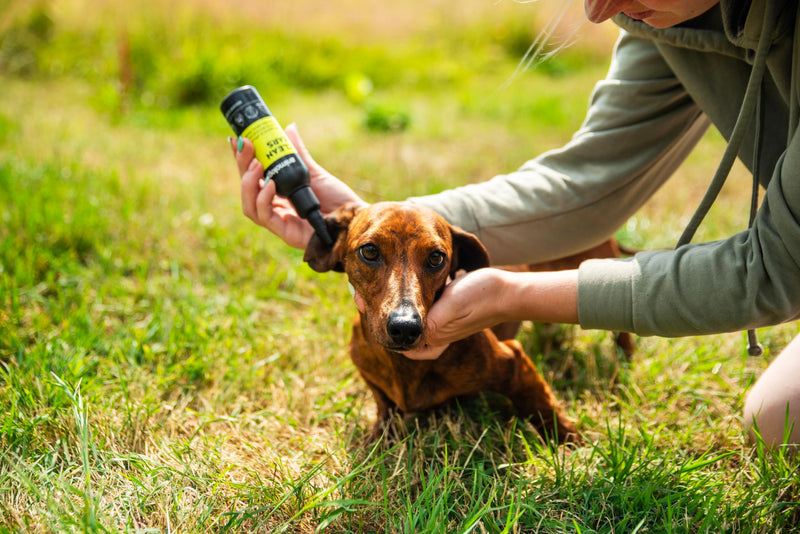 Animology Clean Ears Vegan Gentle & Effective Soothing Dog Ear Cleaning Solution 100ml