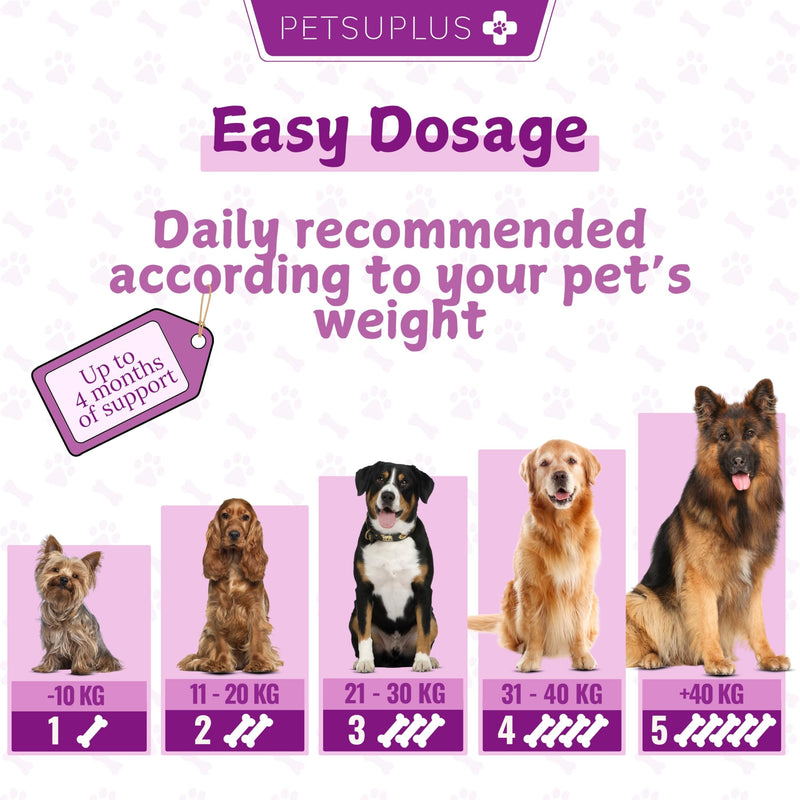 Dog Probiotics for gut health. Dog Probiotic Supplements. Pre and Probiotics for Dogs. Support digestive health, rebalance gut microbiome, aid digestion & boost the immune system. 120 Chews