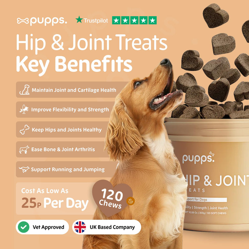 Pupps Hip & Joint Dog Treats – 120 Chews with Glucosamine (1000mg), Green Lipped Mussel & MSM | Joint Support for Dogs of All Ages | Helps Mobility, Stiffness & Comfort | Vet Approved, UK Made 120 x Chews