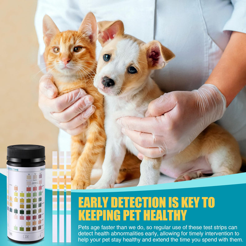 100 x Pet Urine Testing Strips, 10 in 1 UTI Test Kit for Cat & Dog, Multi-Parameter Urinalysis Reagent Strips: Leukocytes, Urobilinogen, Protein, Ph, Blood, Ketone, Bilirubin, Glucose & More - BeesActive Australia