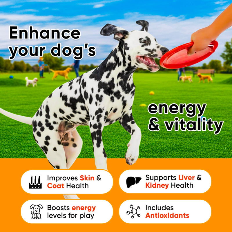 24-in-1 Dog Multivitamin with Glucosamine - Chewable Dog Vitamins and Supplements for Hip & Joints - Ideal for Immune Support and Digestive Health - Best for Senior Dogs and Puppies’ Skin & Heart