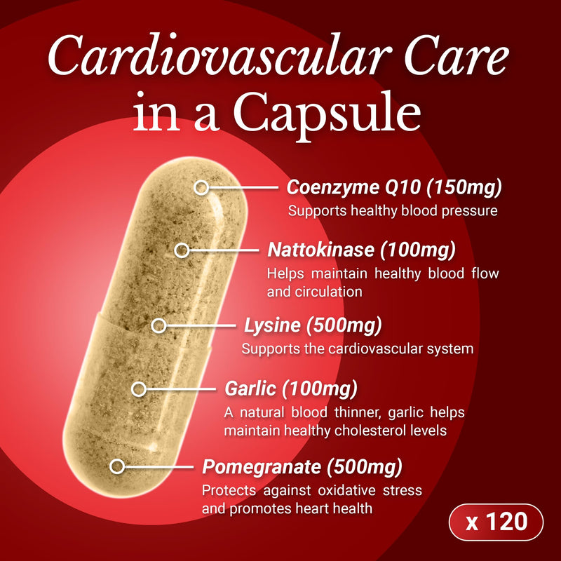CoQ10 Cardiovascular Supplement 150mg – Coenzyme Q10, Nattokinase, Pomegranate, Garlic & Lysine for Blood Cholesterol, Circulation, Heart Plus CoQ10 Supplement for Men & Women, 120 Capsules by Rhoziva