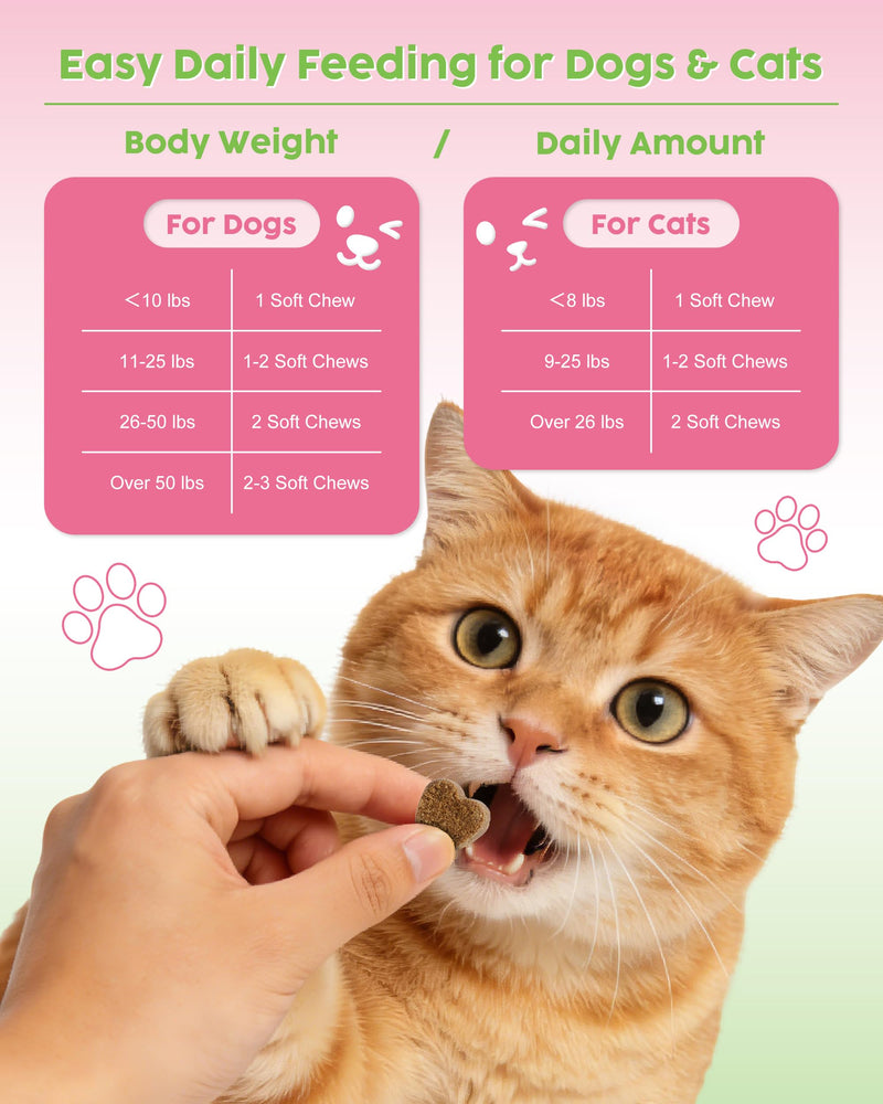 Probiotics for Dogs & Cats - 600M CFU Multi-Strain Formula with Prebiotics & Digestive Enzymes - Supports Gut Health, Digestion & Immune Function - 60 Soft Chews (Chicken Flavor)