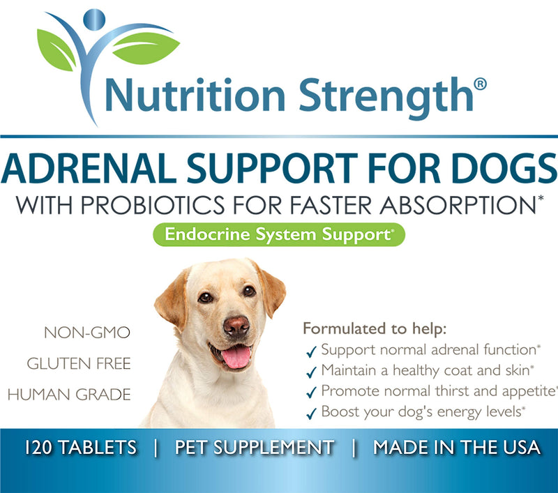 Adrenal Support for Dogs, Support for Dogs with Cushing's Disease, Maintain a Healthy Coat and Skin, Promote Normal Urination, Thirst and Appetite, 120 Chewable Tablets - PawsPlanet Australia