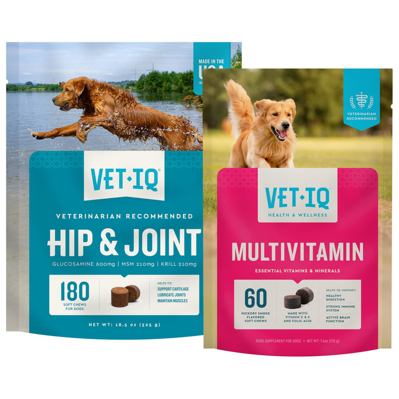 VetIQ Glucosamine Hip & Joint Supplement for Dogs, 180 Soft Chews + VetIQ Multivitamin Supplement for Dogs, 60 Count, Dog Supplements Made in The USA Hip and Joint + Multivitamin Supplement