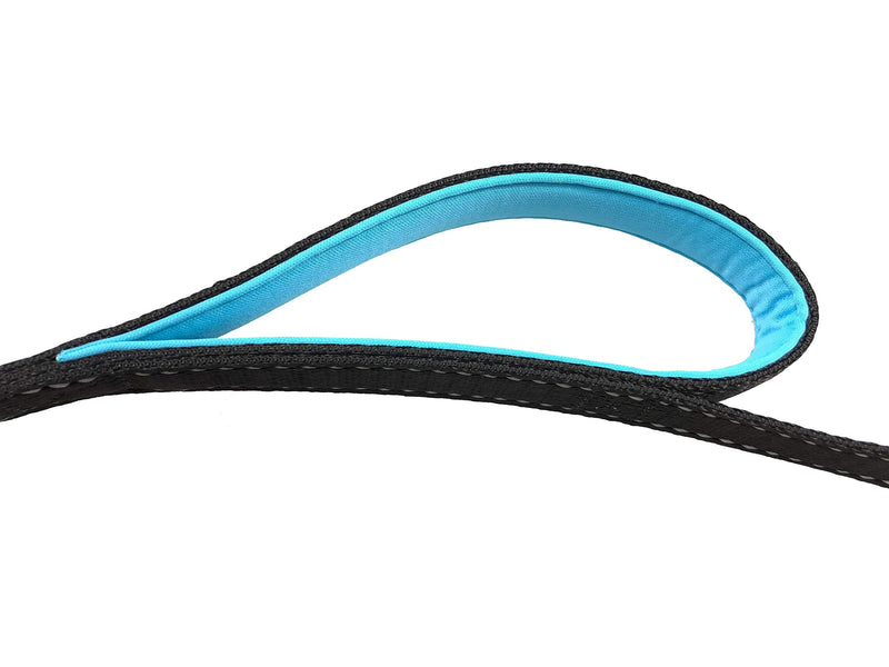 Dog Leash 6ft long,Traffic Padded Two Handle,Heavy Duty,Reflective Double Handles Lead for Control Safety Training,Leashes for Large Dogs or Medium Dogs,Dual Handles Leads(Black) Black-Blue - BeesActive Australia