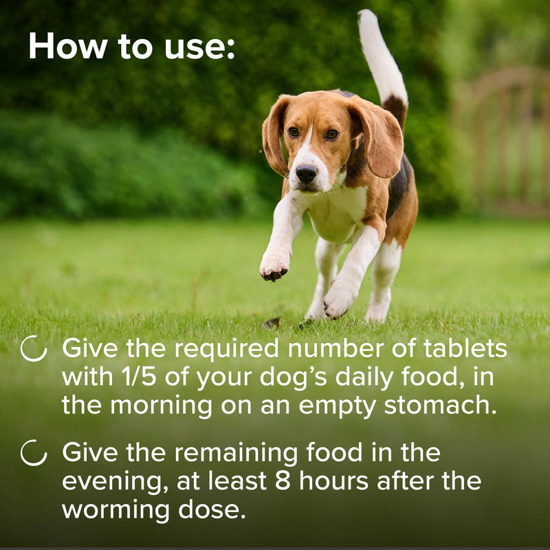 Beaphar – One Dose Dog Worming Tablets – For Medium Dogs Weighing 6kg to 20kg – Kills Roundworms and Tapeworms - Veterinary Medicine – Easy-To-Give Tablets – 2 tablet pack
