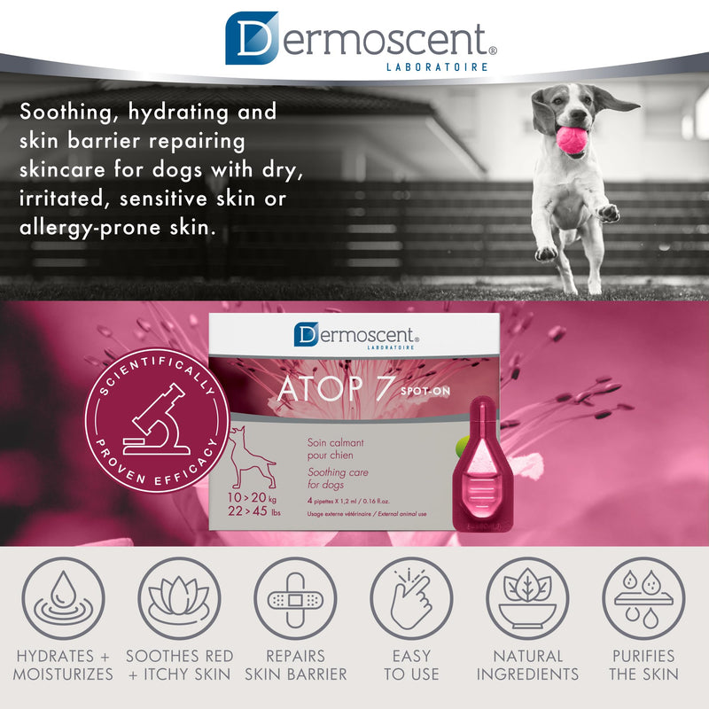 Dermoscent ATOP 7 spot-on - Medium Dogs 22-45 lbs - Soothing Care for Sensitive, Dry and Itchy Skin or Allergy Prone Skin - Natural Ingredients - 4 pipettes - PawsPlanet Australia