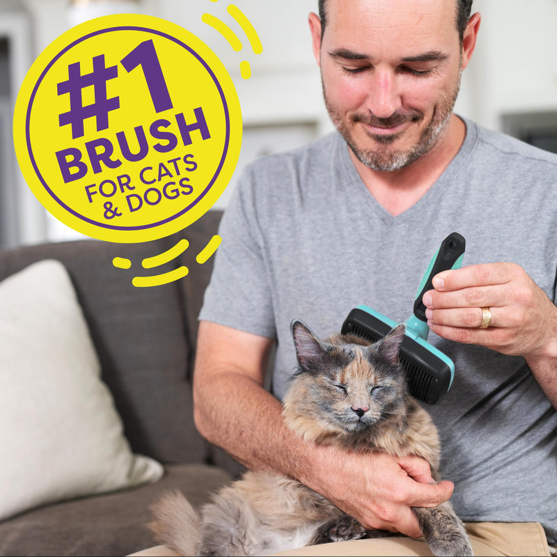 Hertzko Dog & Cat Brush, Dog Brush for Shedding, Cat & Dog Grooming, Self Cleaning Slicker Brush for Pets, Grooming Brushes for Long Short Haired Dogs Cats, Deshedding Brush, Rake, Comb - Aqua Aqua Brush - BeesActive Australia