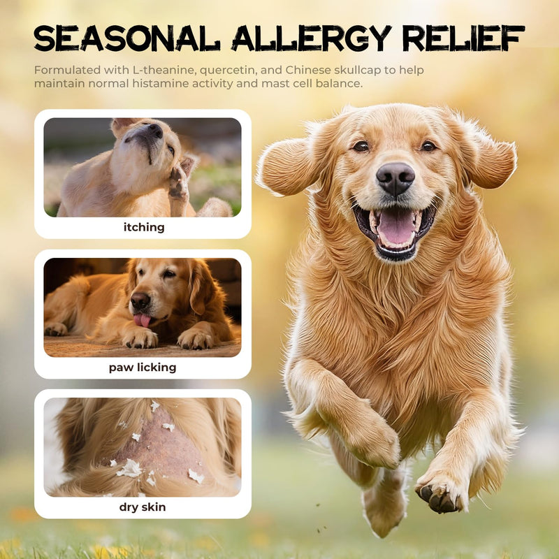 Quercetin & Bromelain for Dogs, Seasonal Allergy Relief for Dog, Itch & Skin Relief, Skin & Coat Supplement with, Supports Immune System, Boost Immune Balance