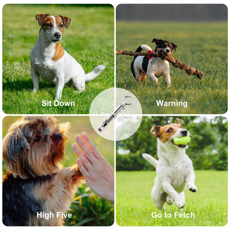 uxcell 1PC Dog Whistle to Stop Barking, Adjustable Sound Pitch Dog Whistle with Keychain, Professional Recall Pet Puppy Cat Dog Training Whistle for Bad Behavior, Silver Tone - BeesActive Australia