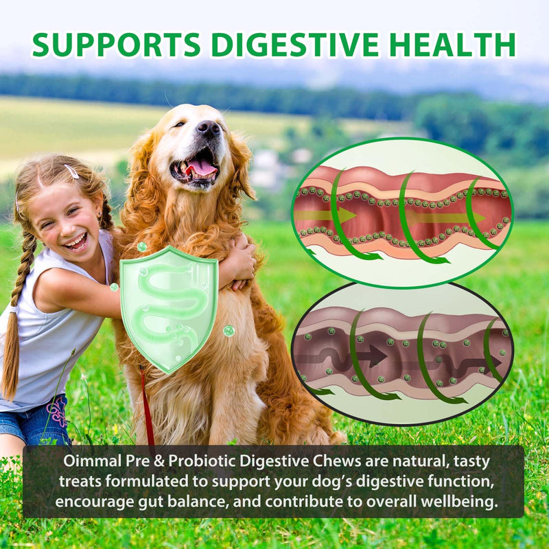 Dog Probiotics for Gut Health – 120 Pre & Probiotics for Dogs with Digestive Enzymes, 6 Probiotic Strains & Pumpkin | Dog Probiotic Supplements for Digestive, Immune, Skin & Coat Support
