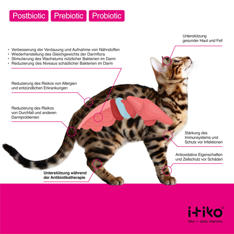 Itiko Digestive Snacks for Cats - Probiotics Cat Treats - Promotes Digestion - Alternative to Healing Clay - Psyllium Husk Cat, Cat Diarrhea - Dietary Supplement Cat Intestinal Flora - BeesActive Australia
