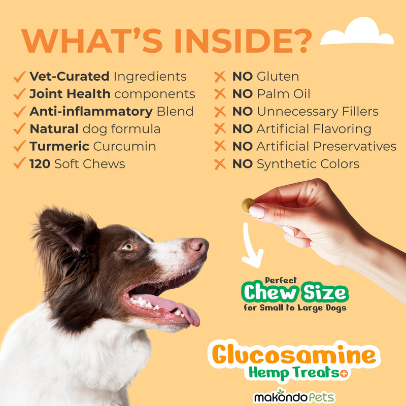 Advanced Hip and Joint Support for Dogs (120) – Glucosamine Chews with Green Lipped Mussels for Dogs, Chondroitin, MSM, Turmeric & Hyaluronic Acid – Mobility Soft Chews
