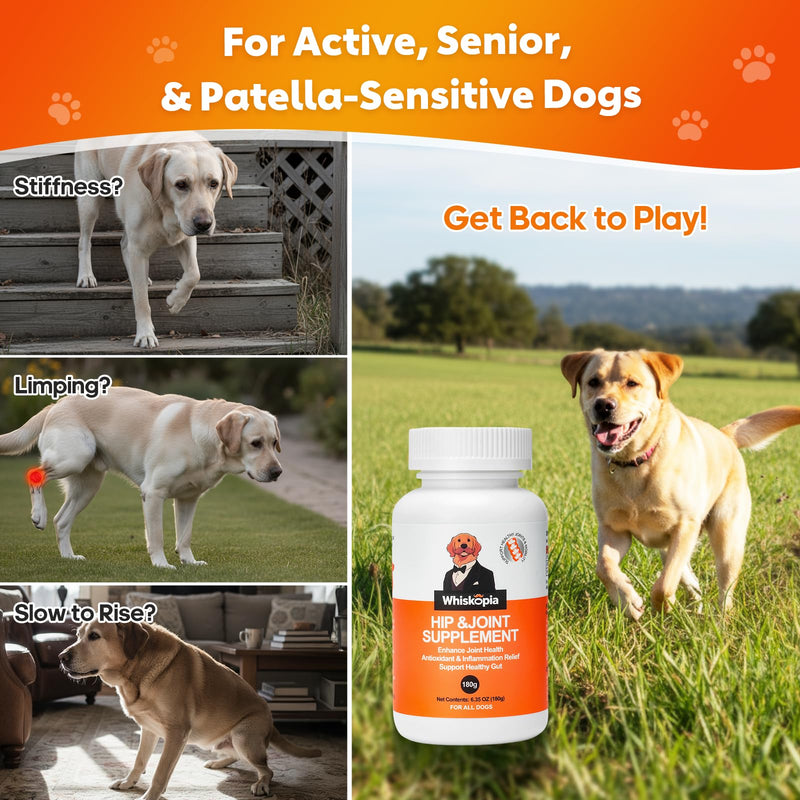 Hip and Joint Supplement for Dogs, Joint Pain Relief Supplement with MSM, Glucosamine, Chondroitin, Support Mobility, Health Chews for Dog, 120 Chews Hip & Joint