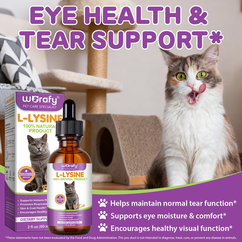 L-Lysine Drops for Cats 60ml - Cat Herbal Supplement for Immune Support, Respiratory & Eye Health - Daily Liquid Support for Cats with Natural Ingredients, Chicken Flavour - 2 fl.oz 2 fl oz
